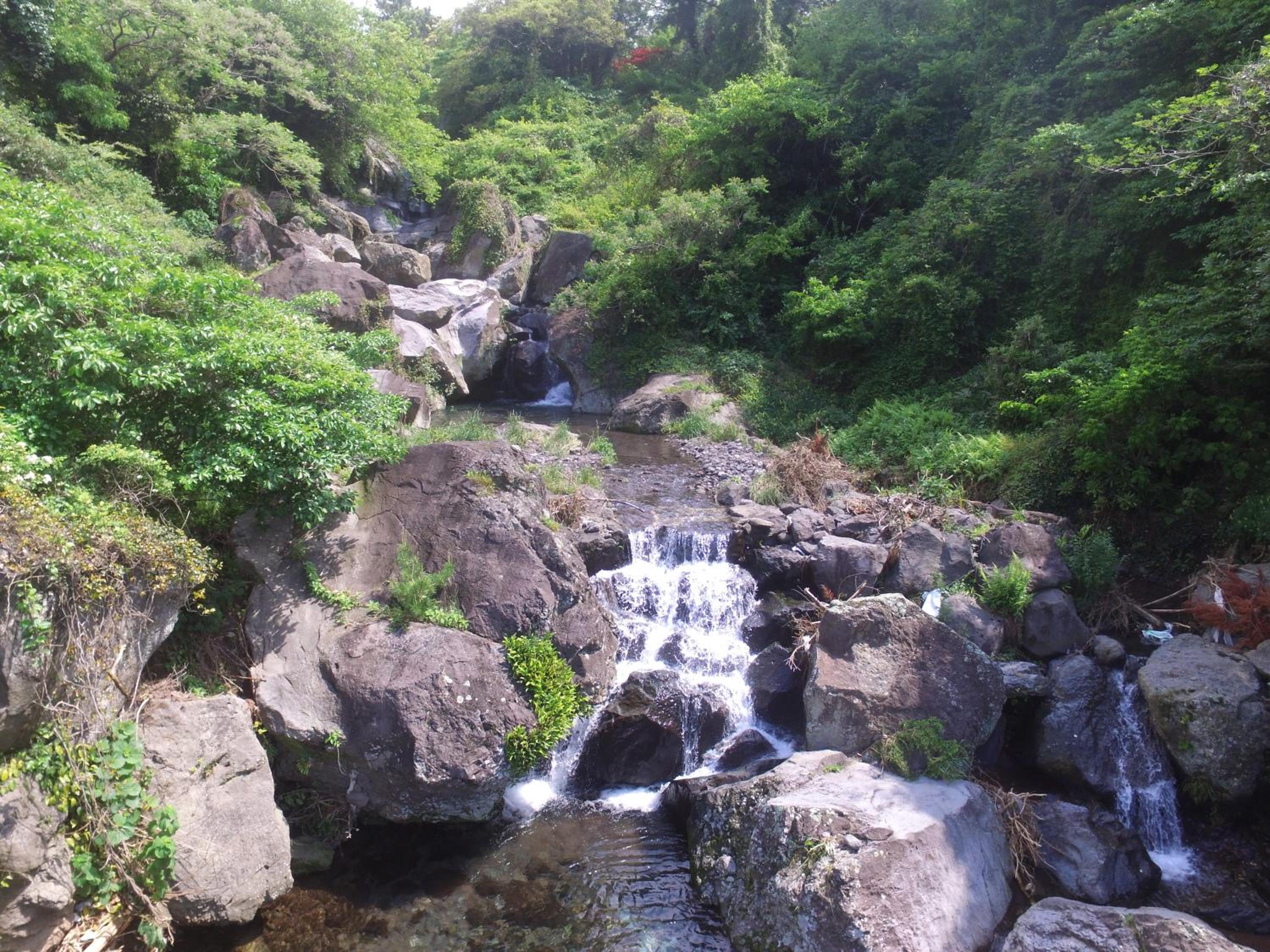Photo 29