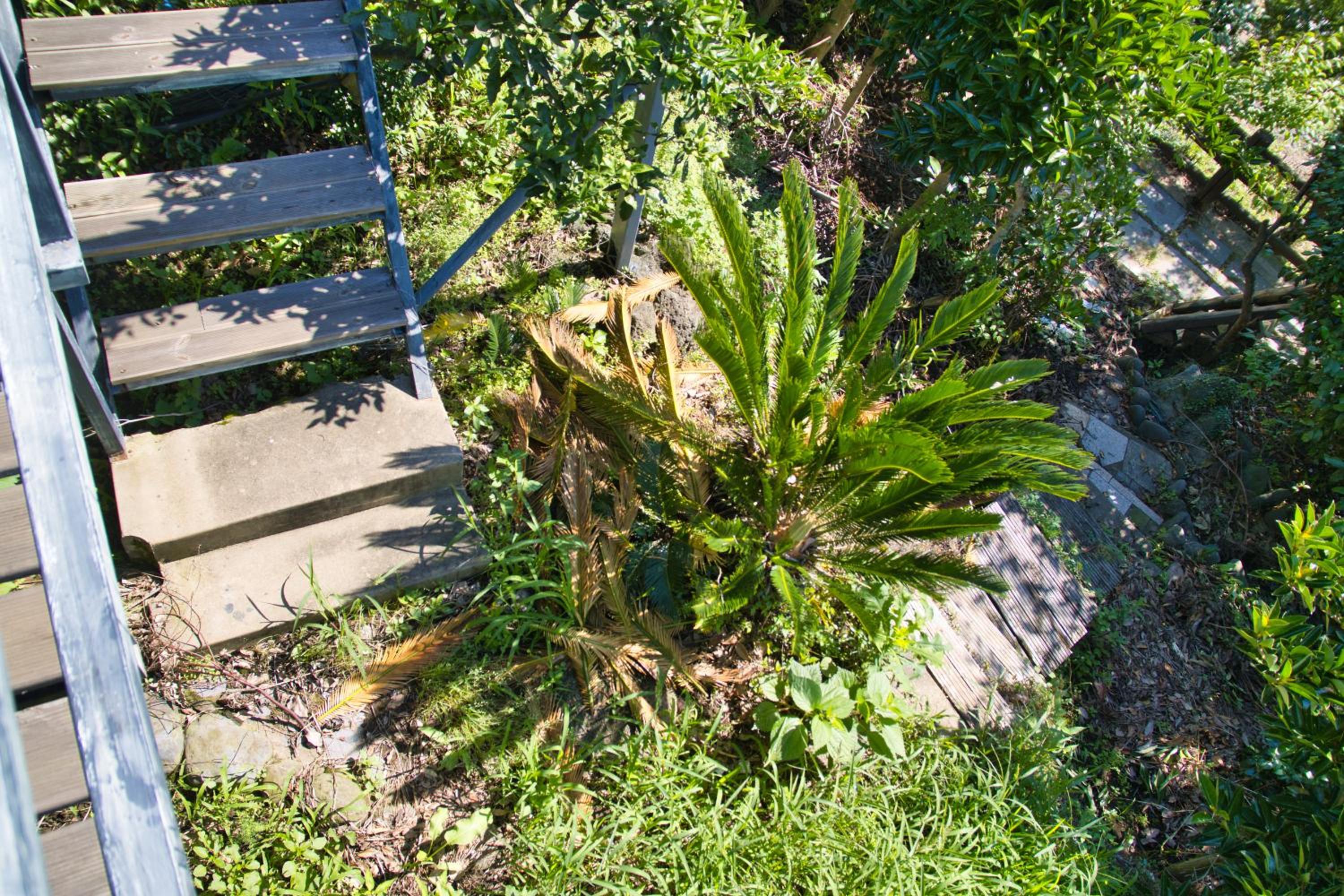 Photo 20