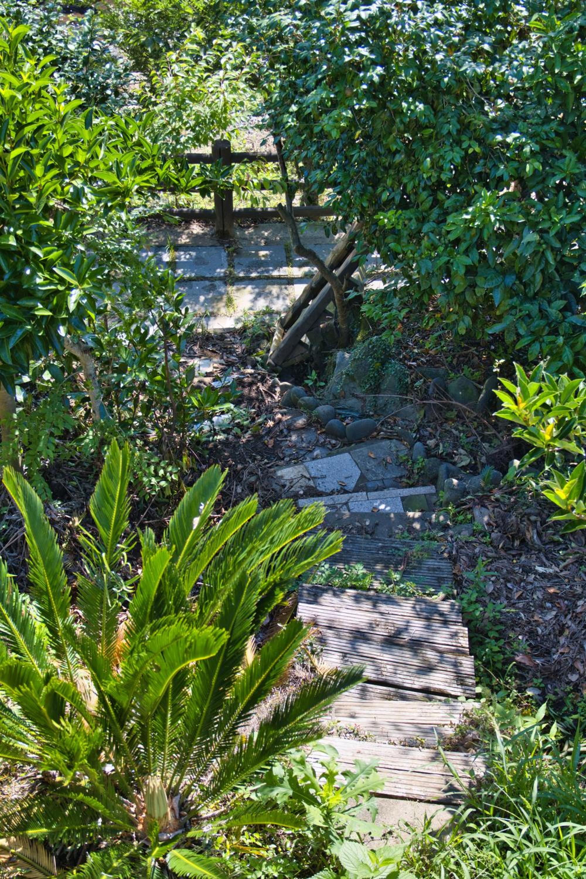 Photo 19
