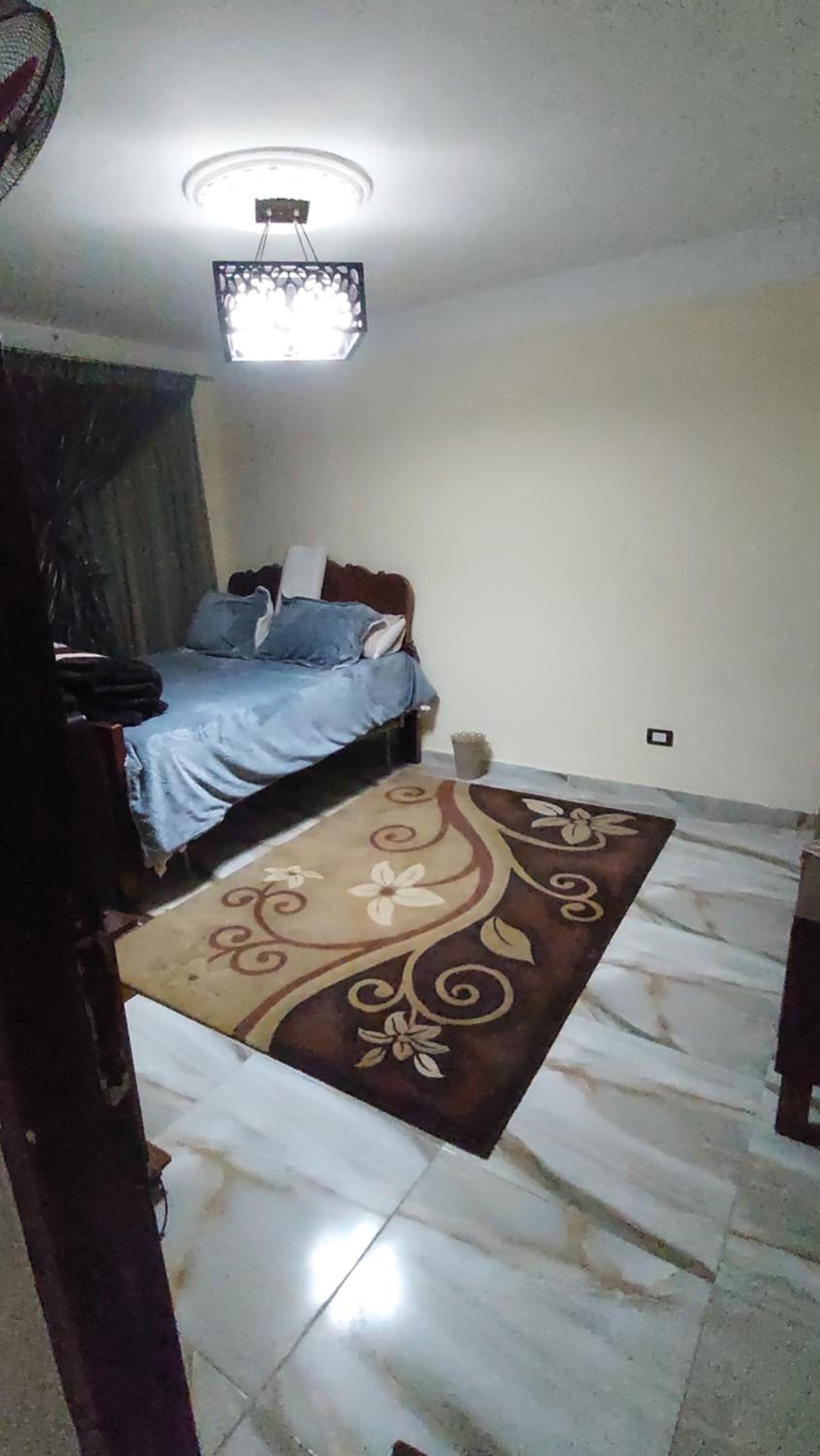 night holiday in