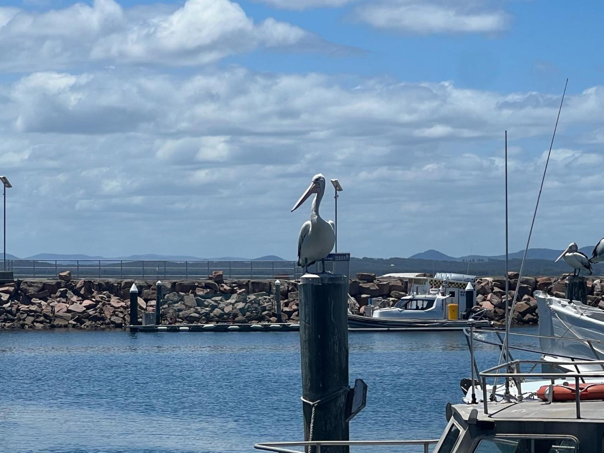 Foreshore Paradise Nelson Bay