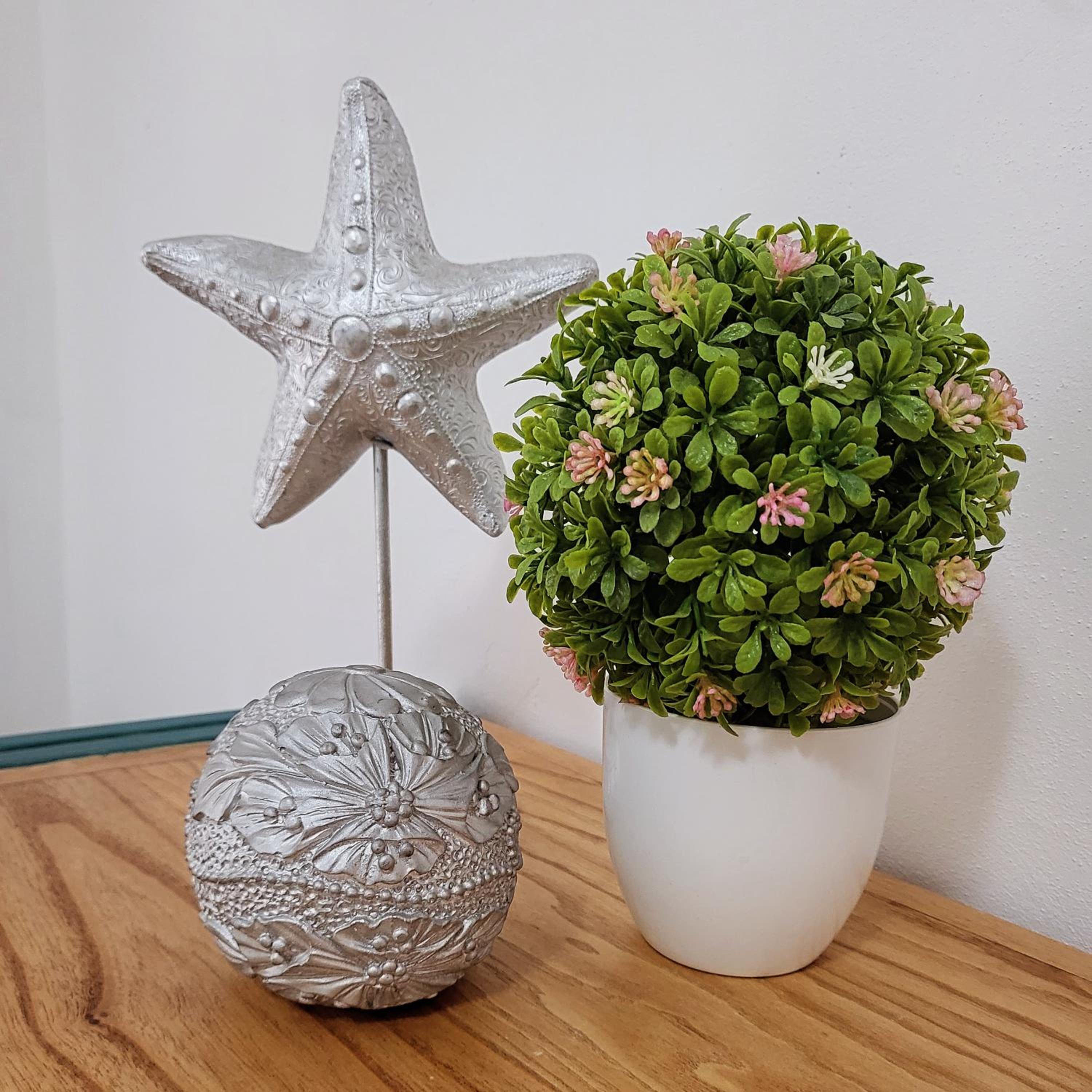 Veronica mini home 1