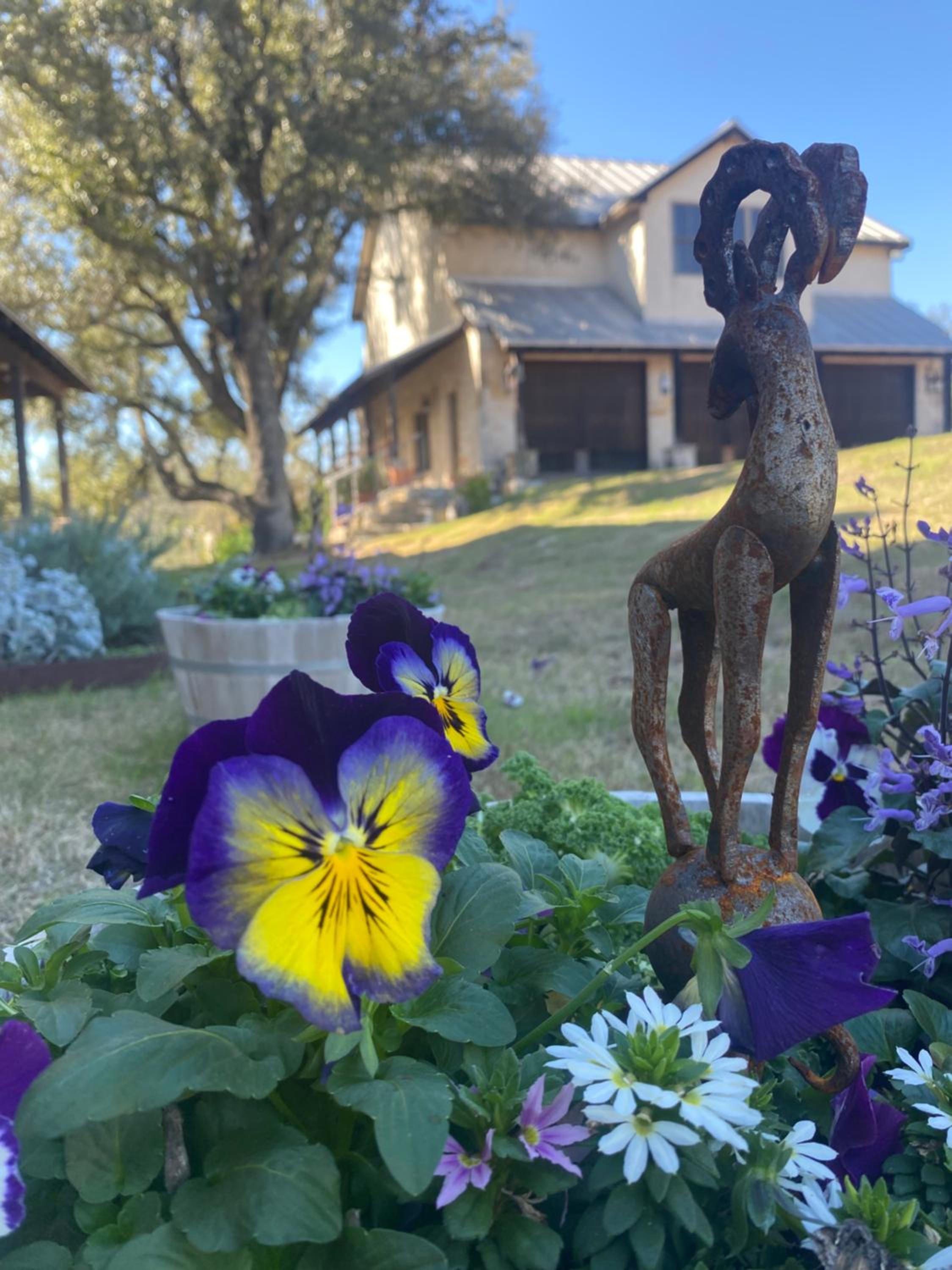 V700 Ranch Stays (Guesthouse)-A Tucked Away Gem
