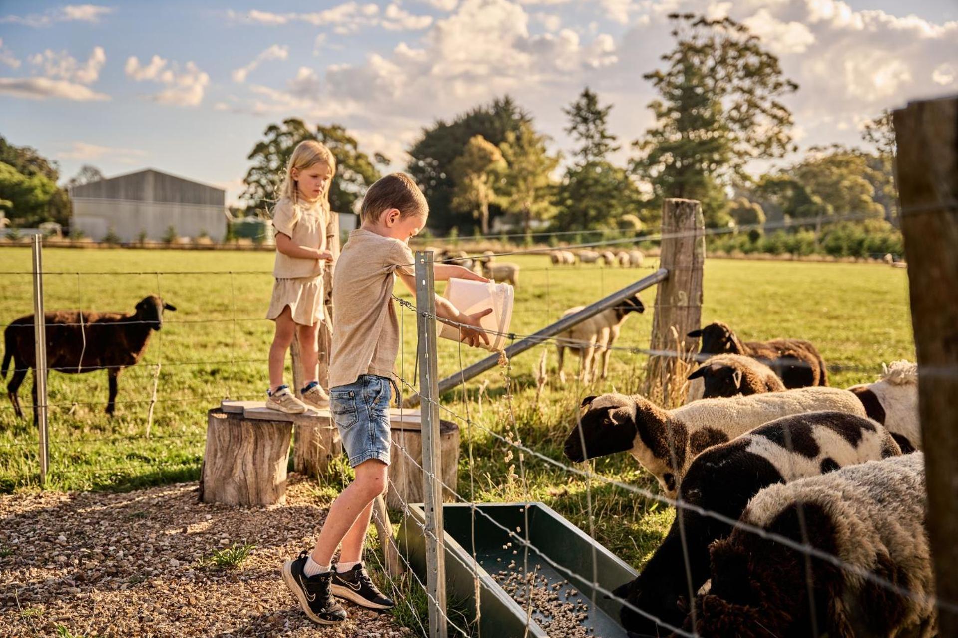 other