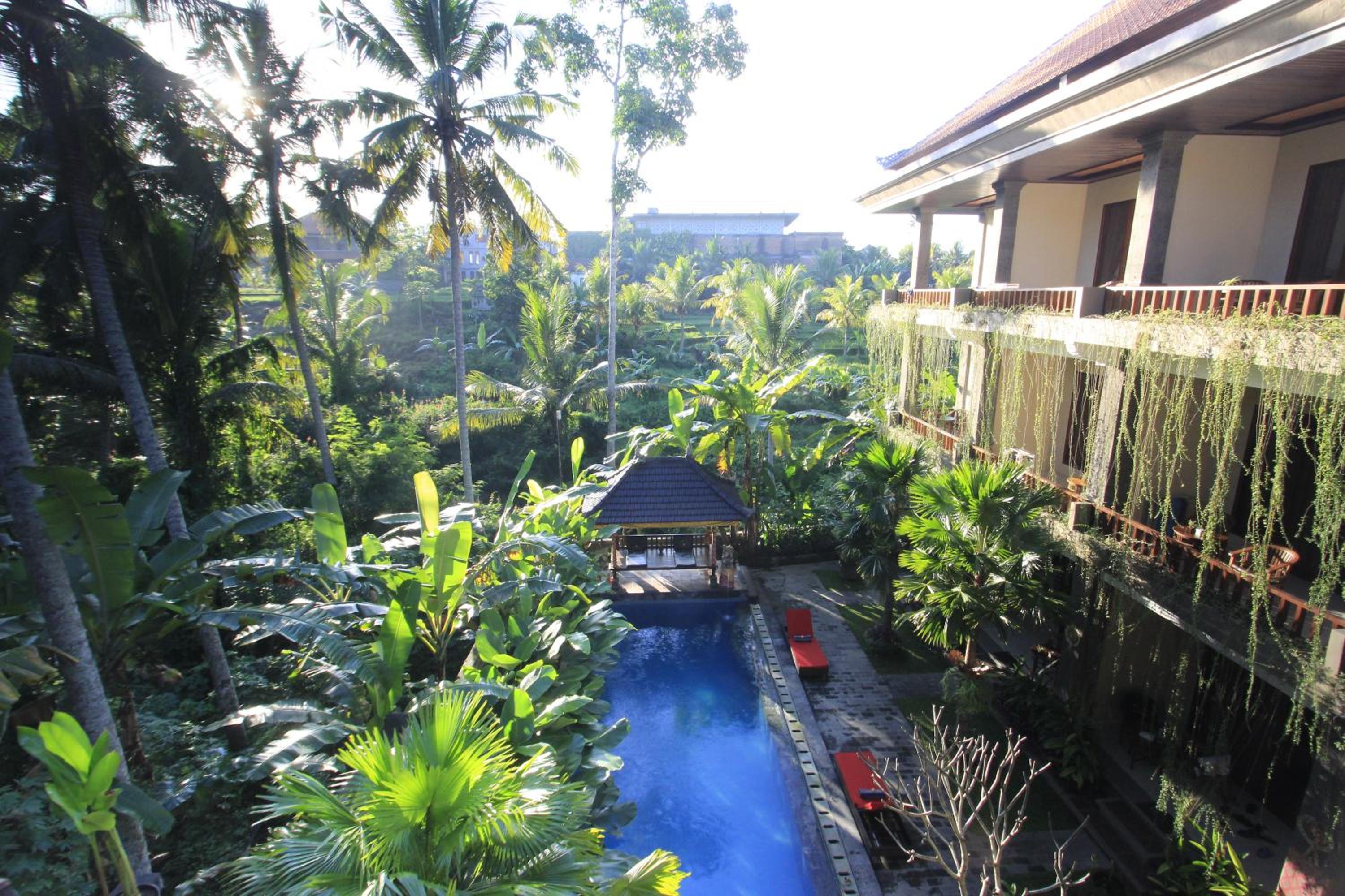 Alam Terrace Cottages