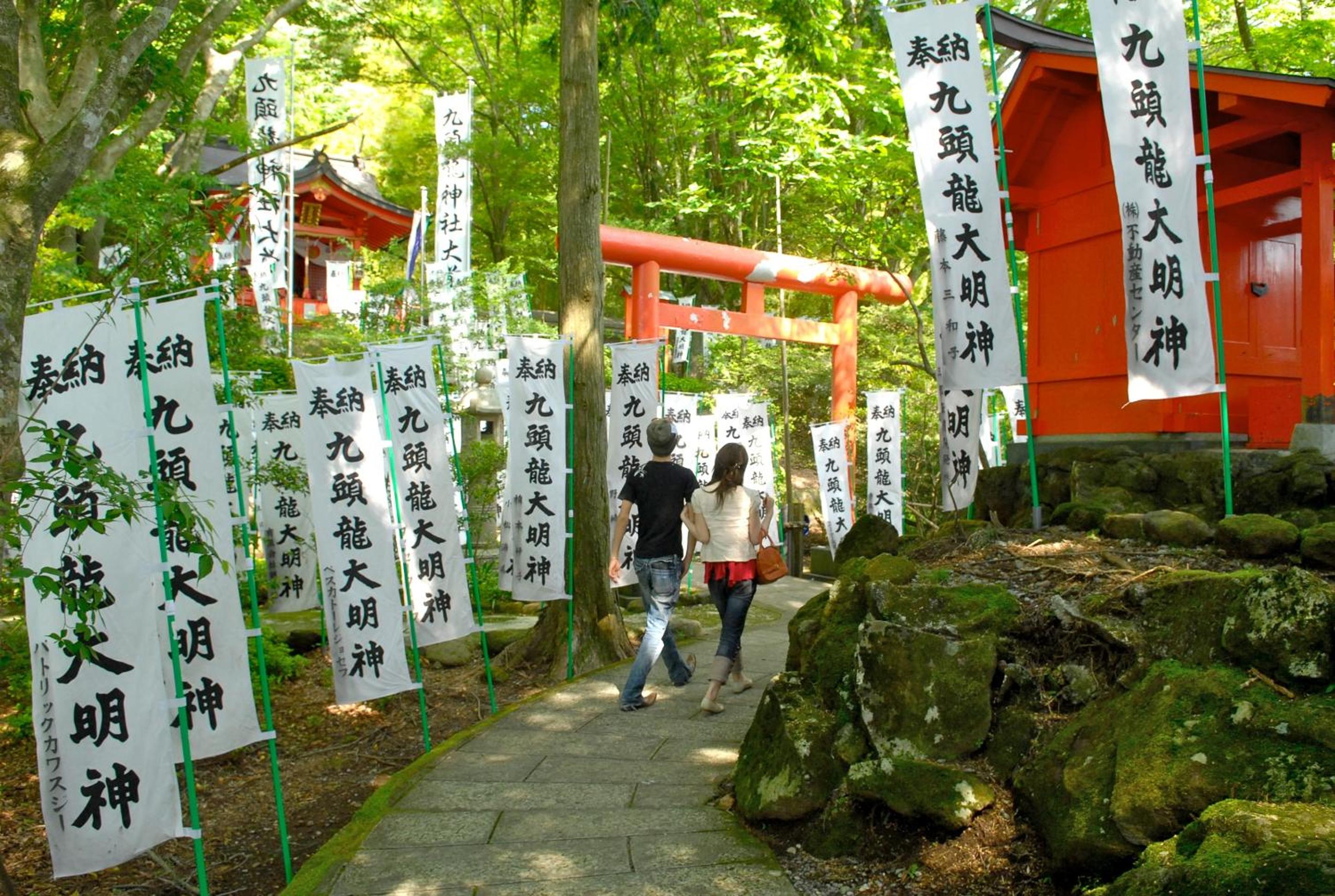 Photo 42