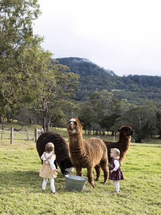 Jamberoo Valley Farm