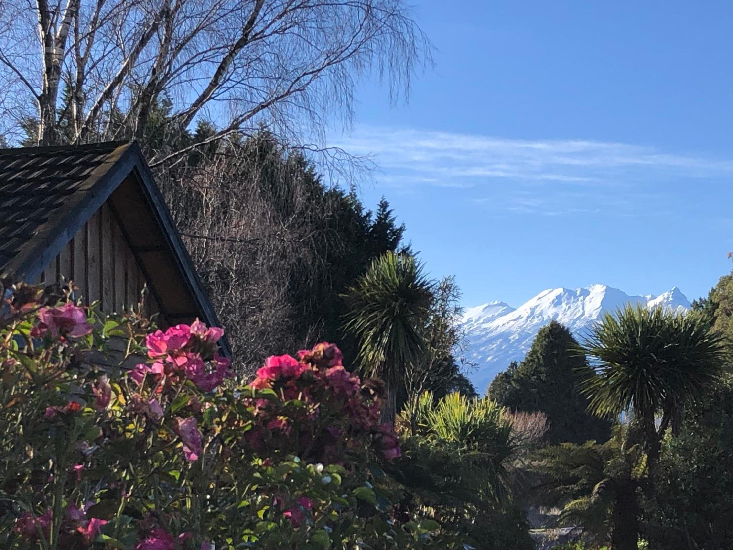 Unique and Charming Garden Cottage/Campervan