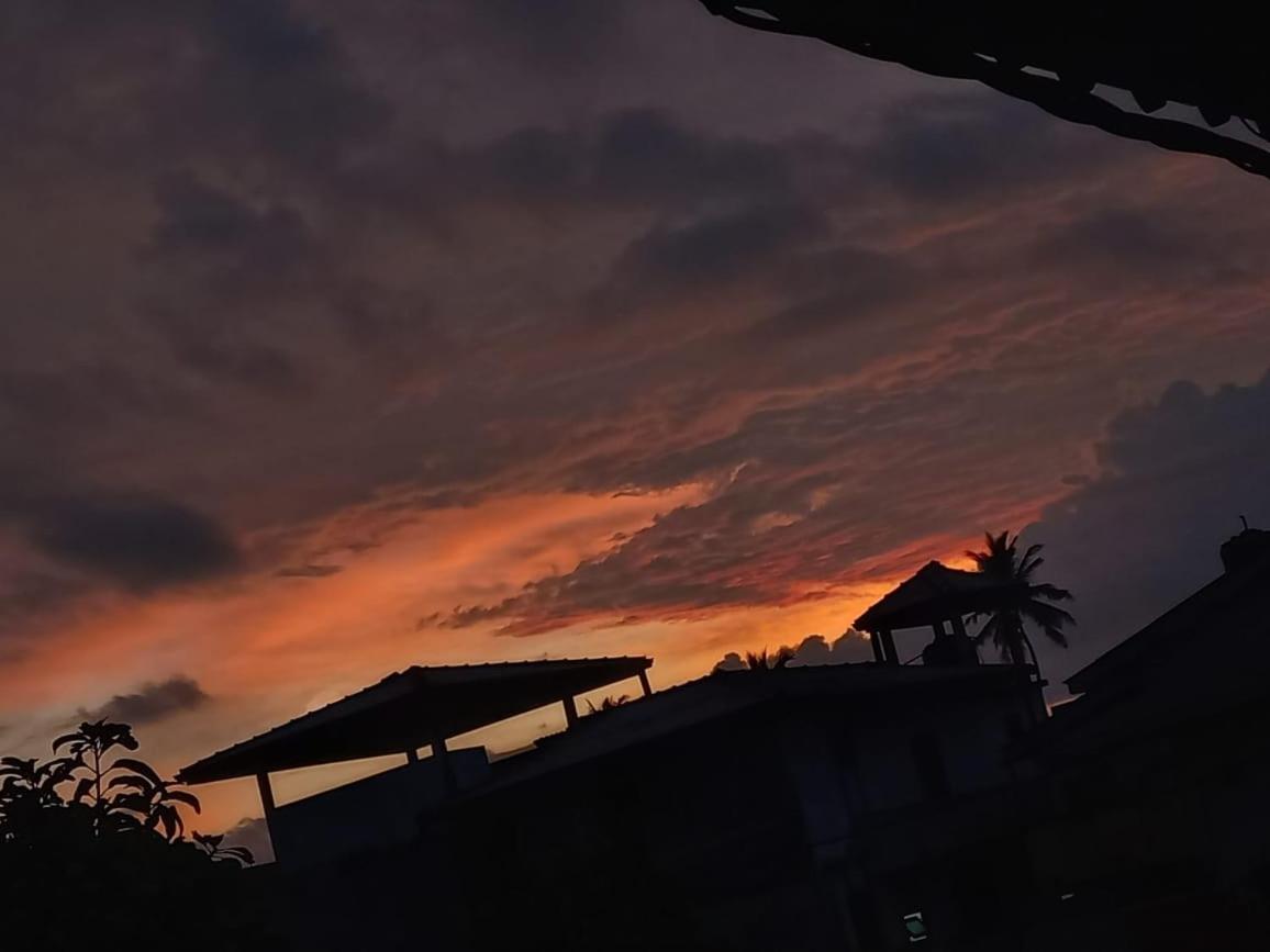 Whitetopgalle