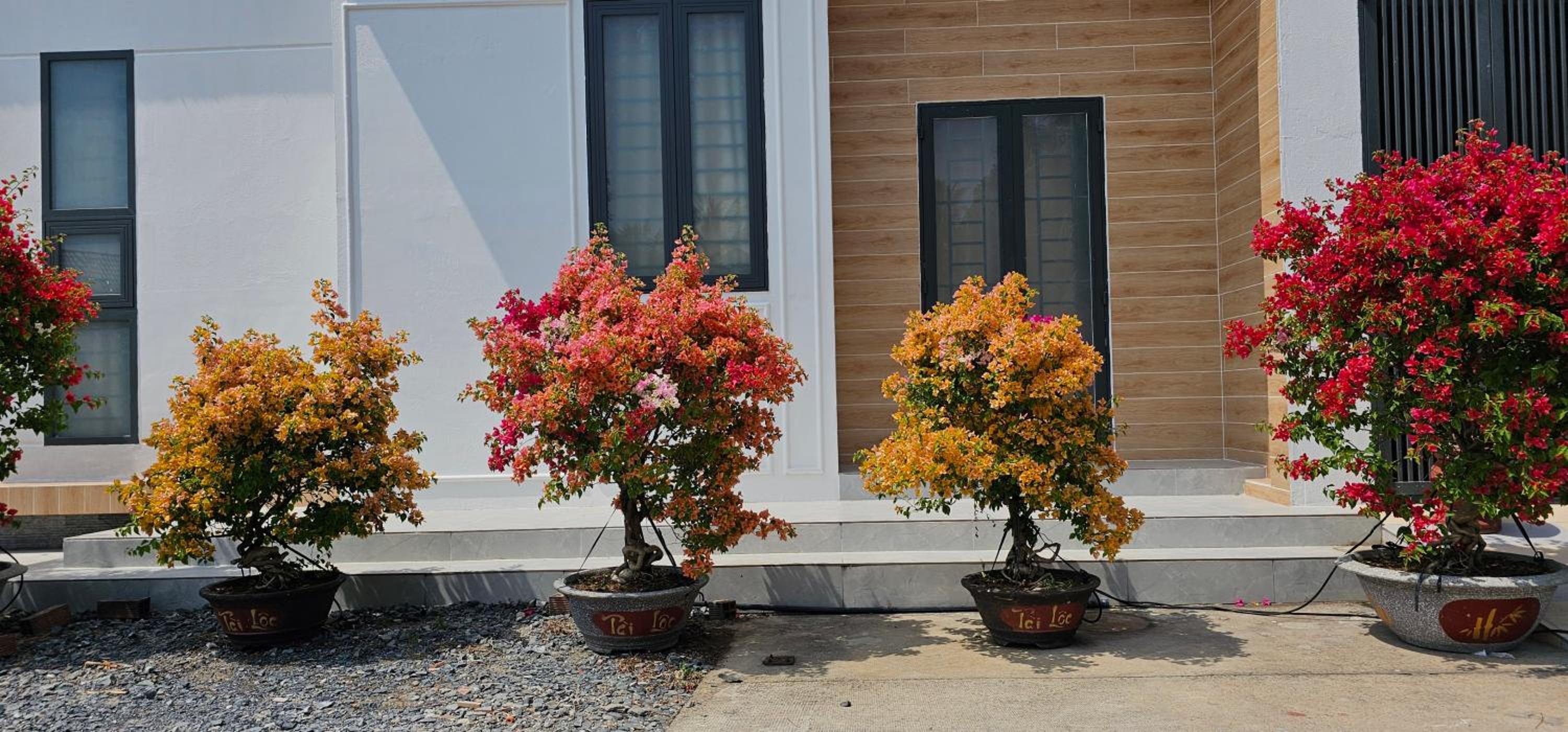 Nhà nghỉ Trúc Mây view 4
