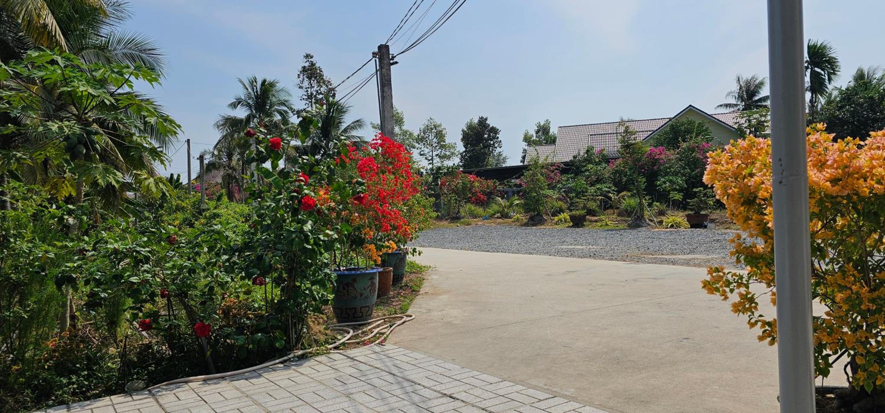 Nhà nghỉ Trúc Mây view 2