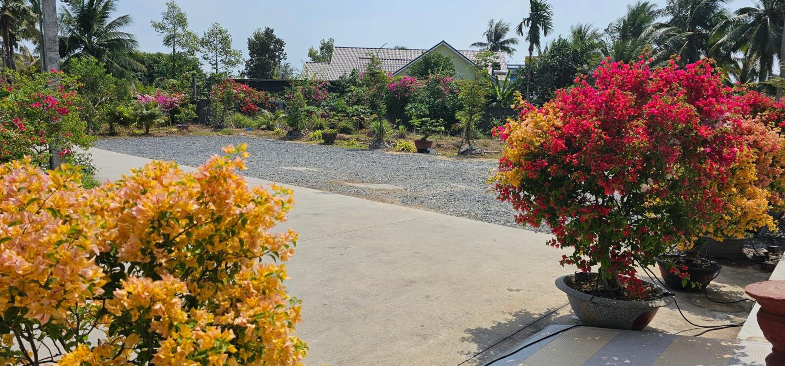 Nhà nghỉ Trúc Mây view 3
