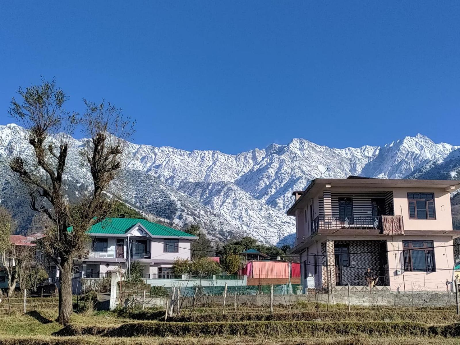 HOMESTAY PALAMPUR VIEW view 4