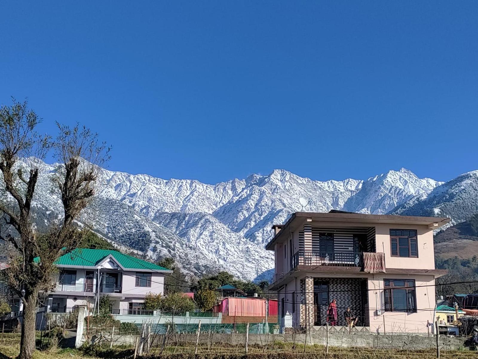 HOMESTAY PALAMPUR VIEW view 2