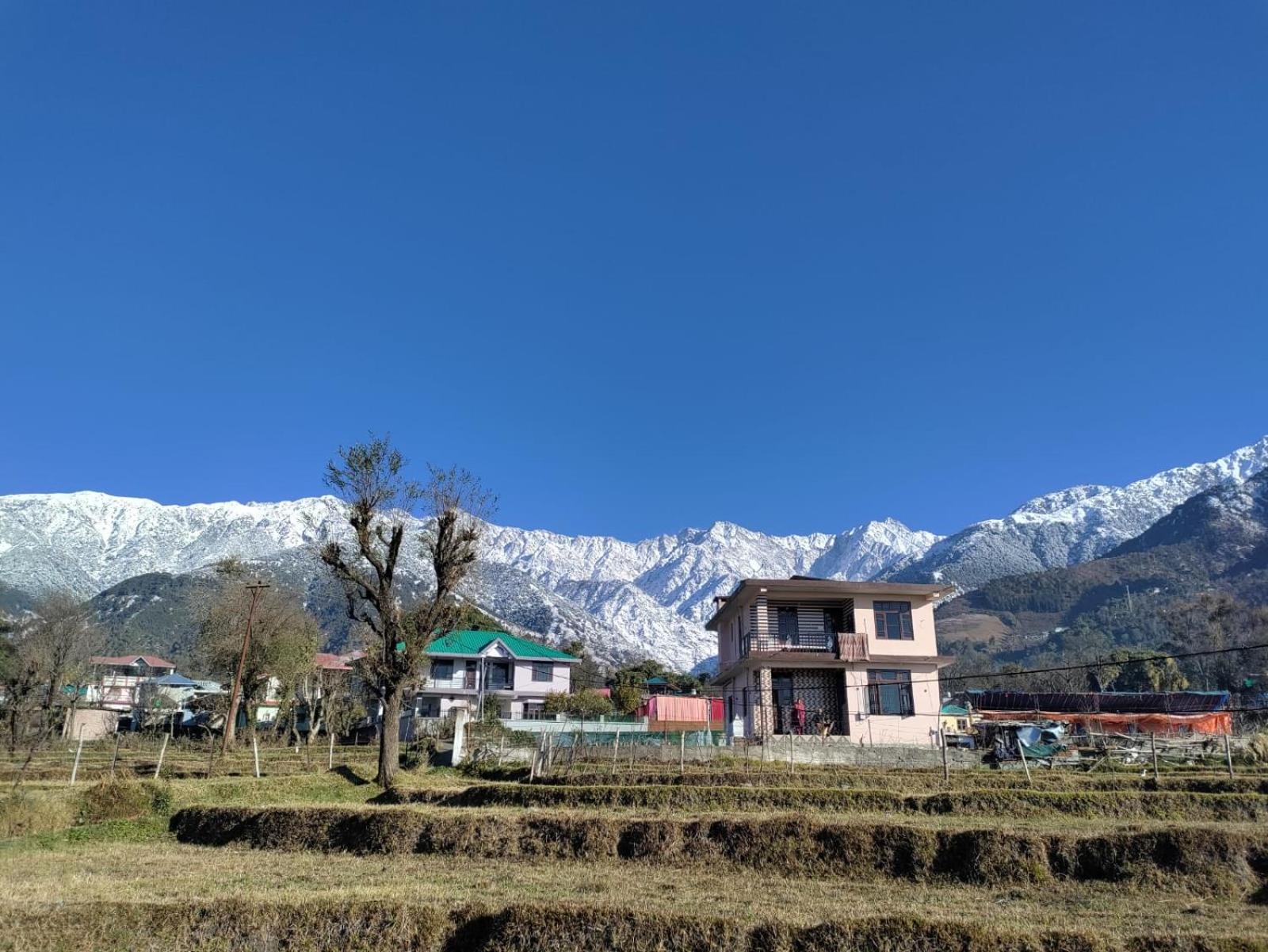 HOMESTAY PALAMPUR VIEW view 3
