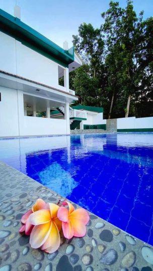 Kakisa ll Diving Resort view 4