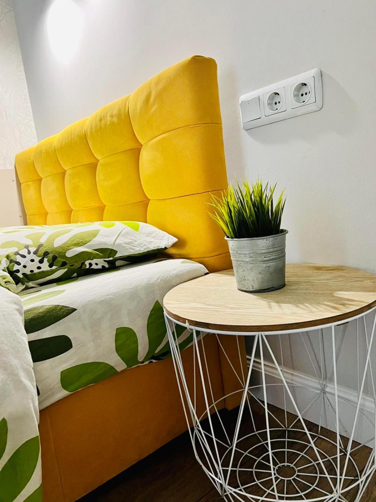Belveder Center Home