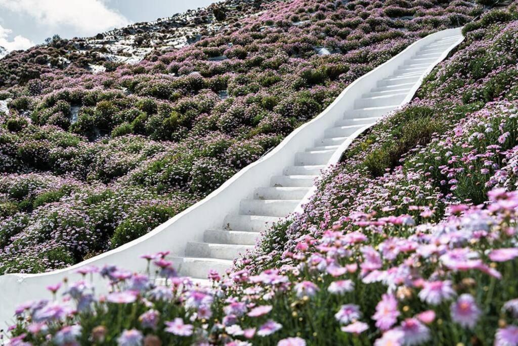 The Floral Penthouse