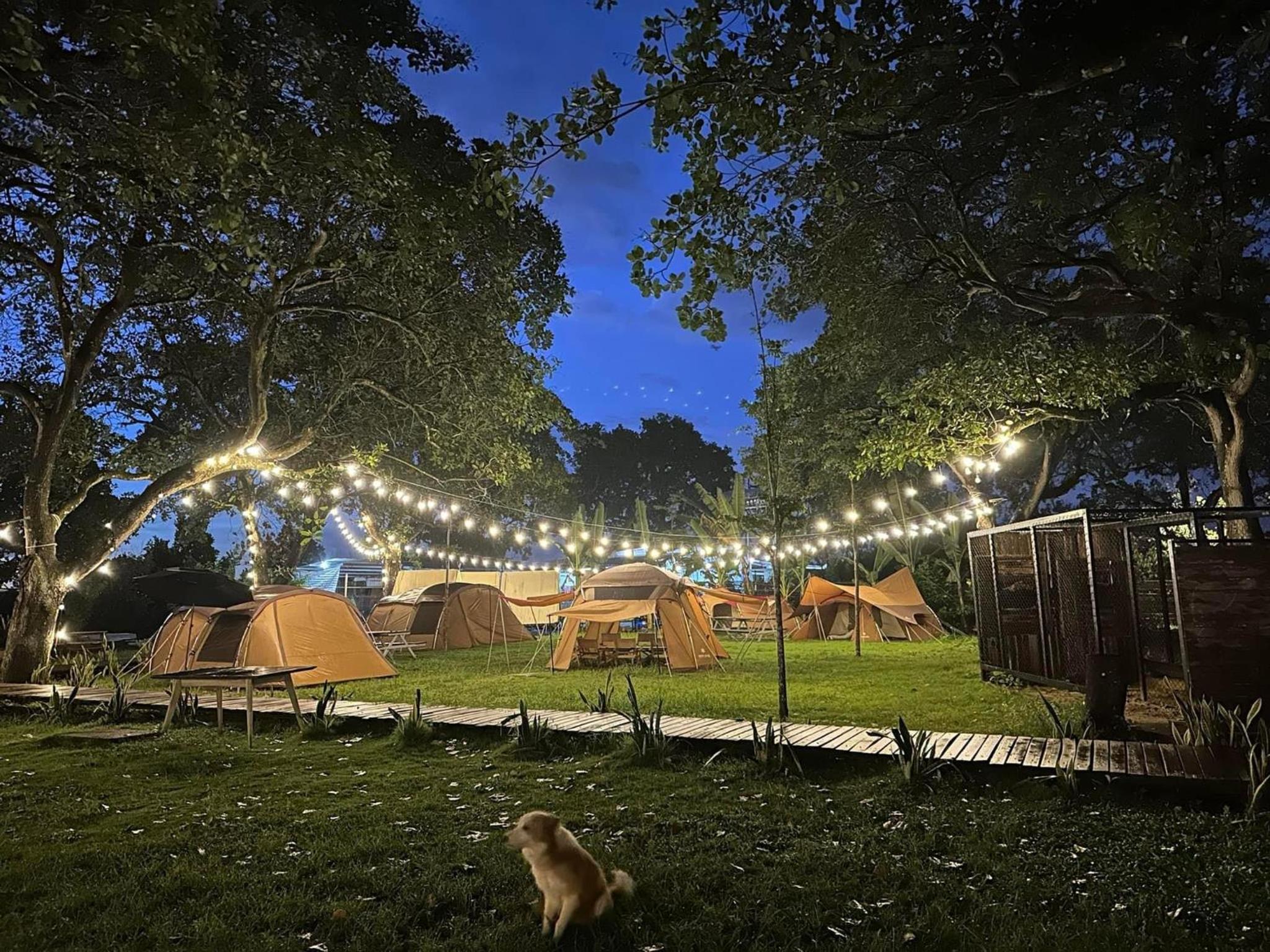 Tropical eglamping view 4