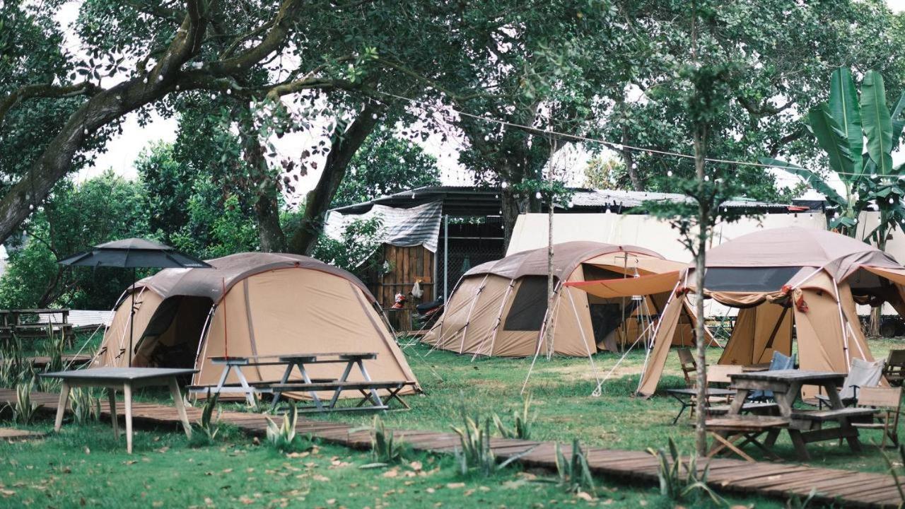Tropical eglamping view 5