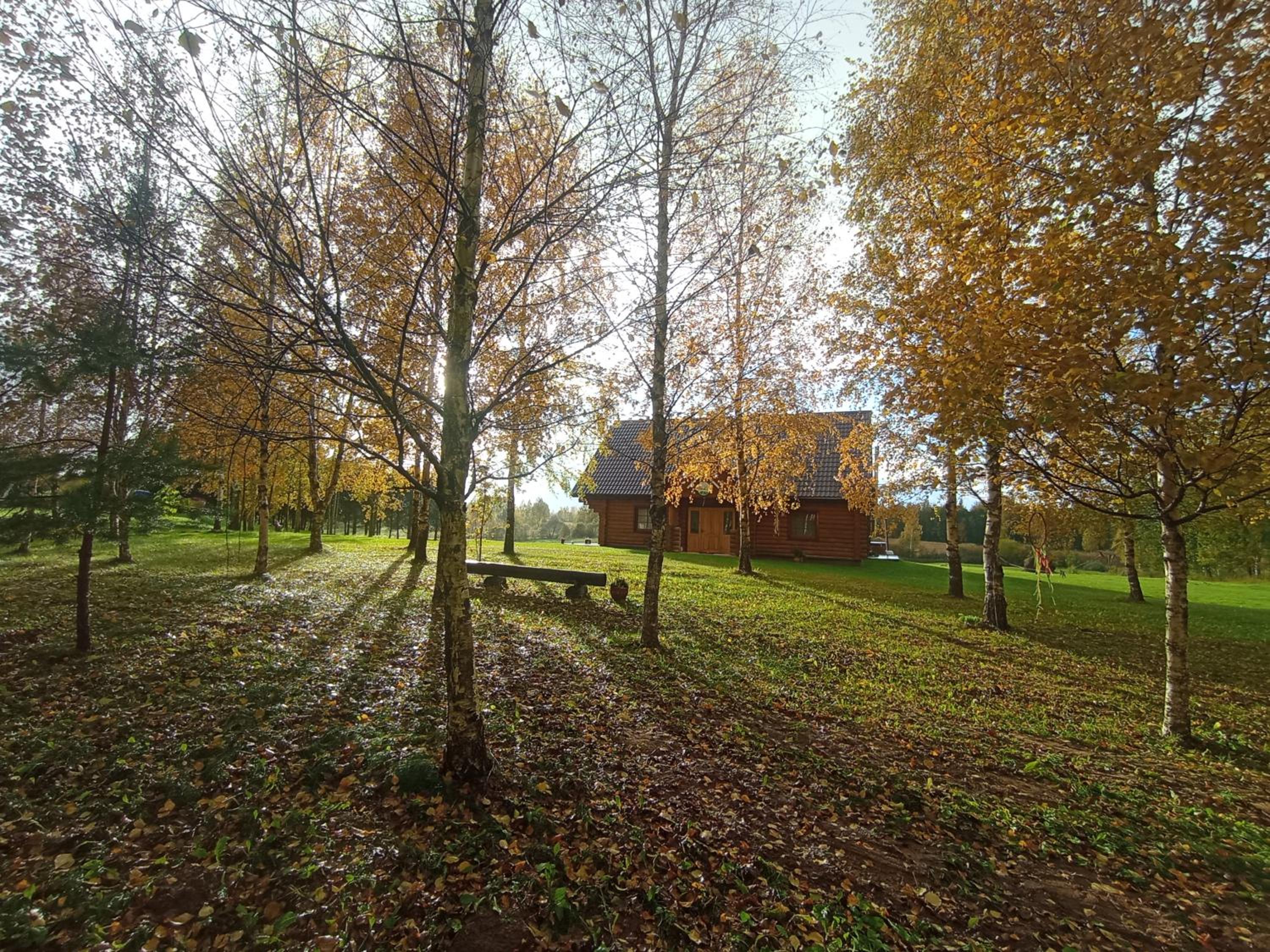Photo 42