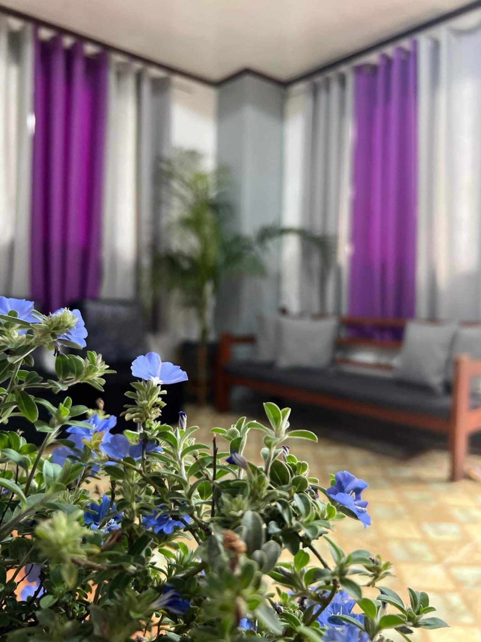 Homey and Serene 2BR With Highland View view 2