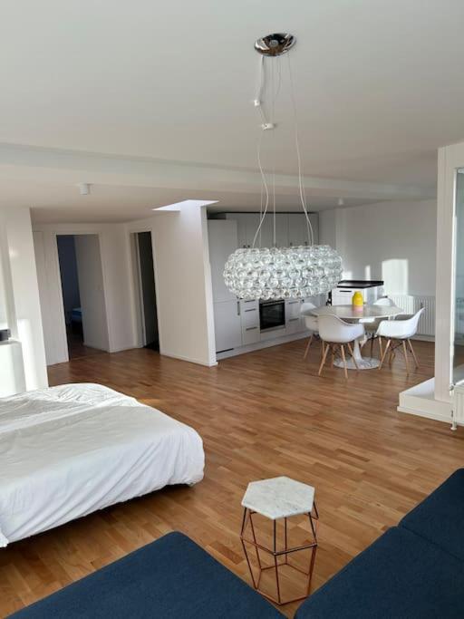 Außenalster Penthouse Charakter