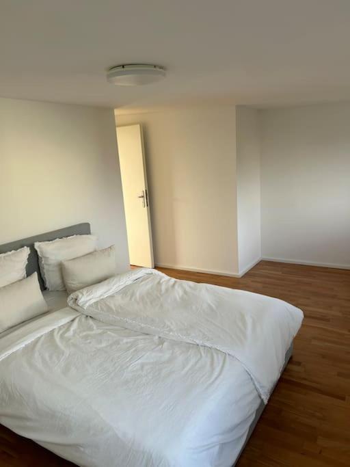 Außenalster Penthouse Charakter