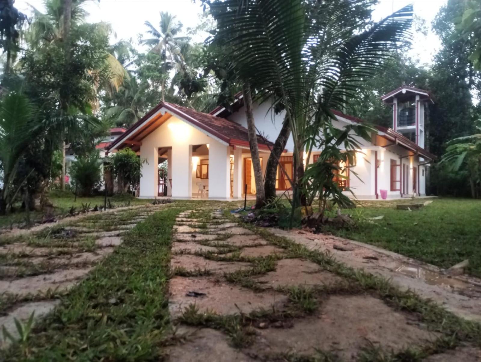 Jungle casa view 4
