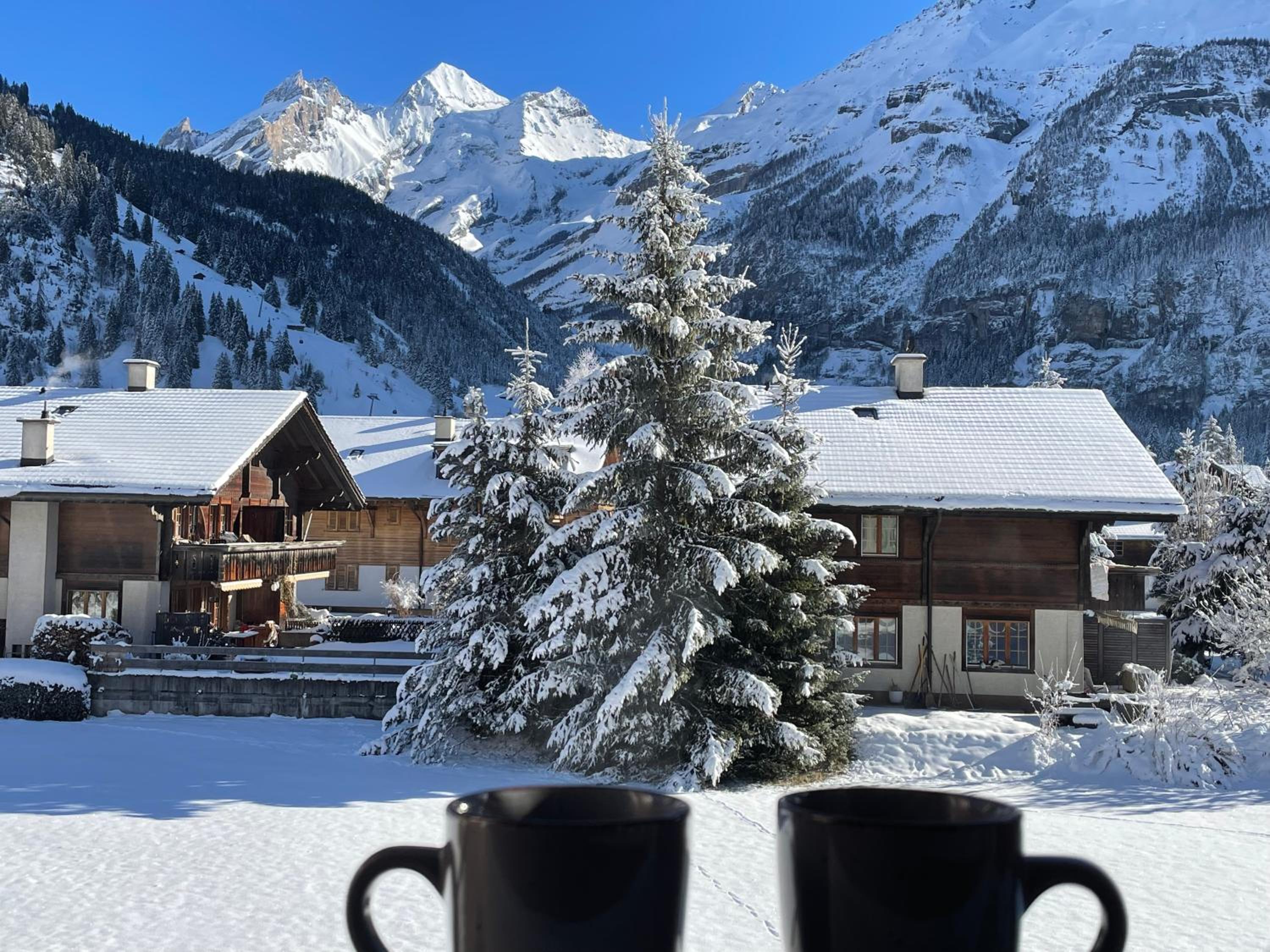 Swiss Alps Lodge