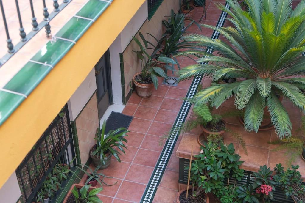 Apartamento junto a las Setas de Sevilla