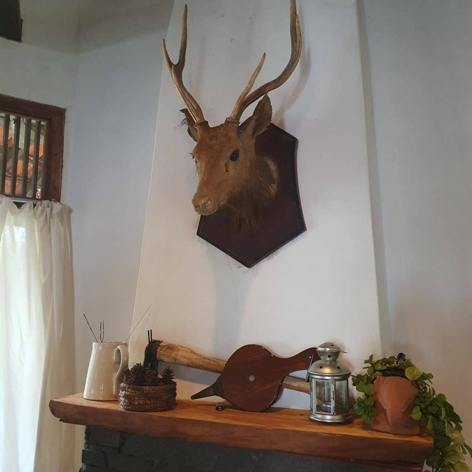 Kartika Lodge
