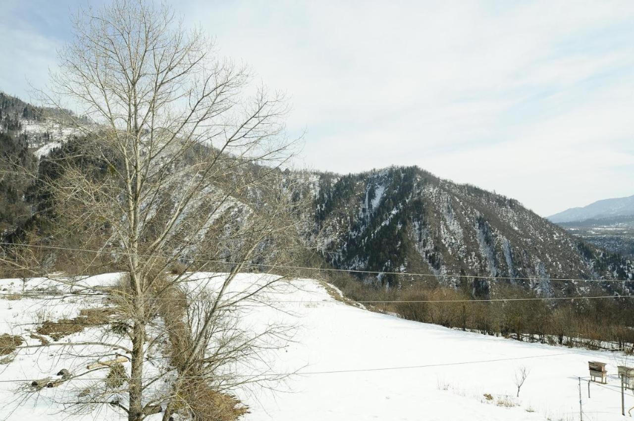 Borjomi Guesthouse Sadgeri
