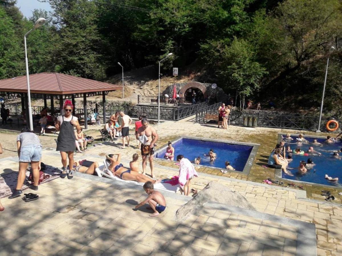Borjomi Guesthouse Sadgeri