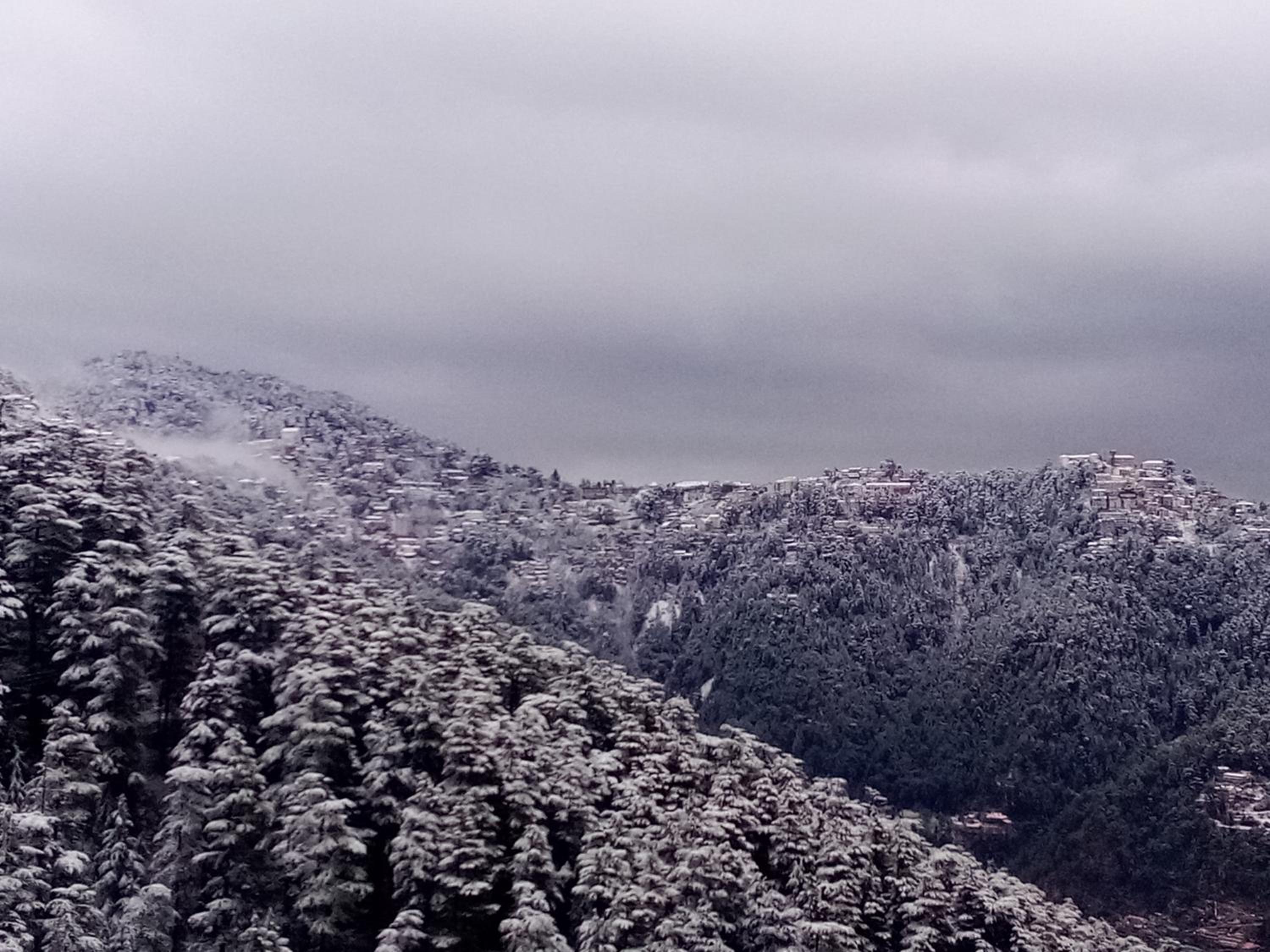 Shimla Regency view 3