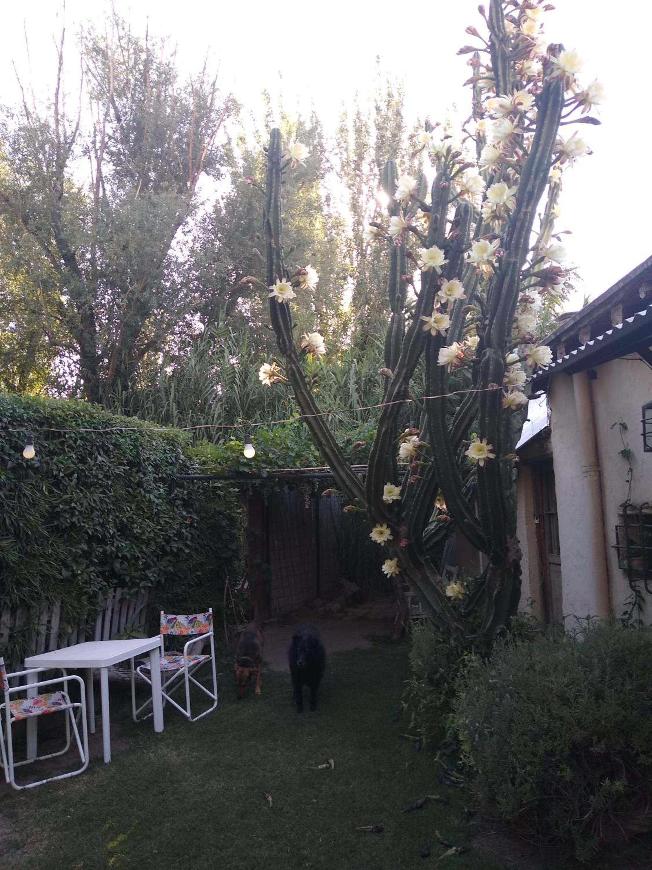 Casitas del Cerro