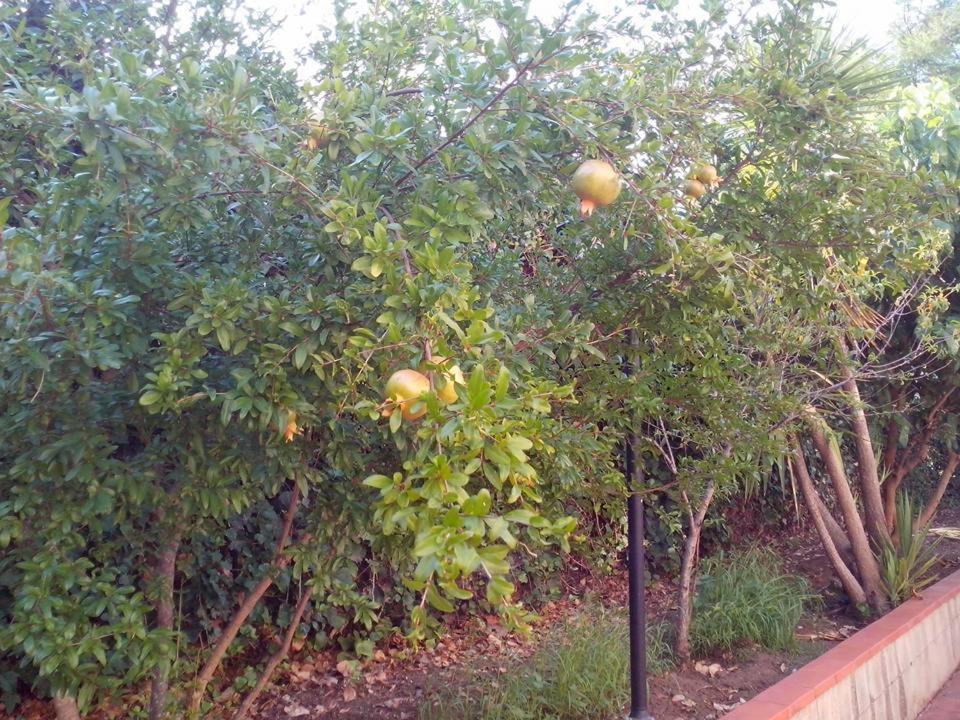 B&B Pian del Lago