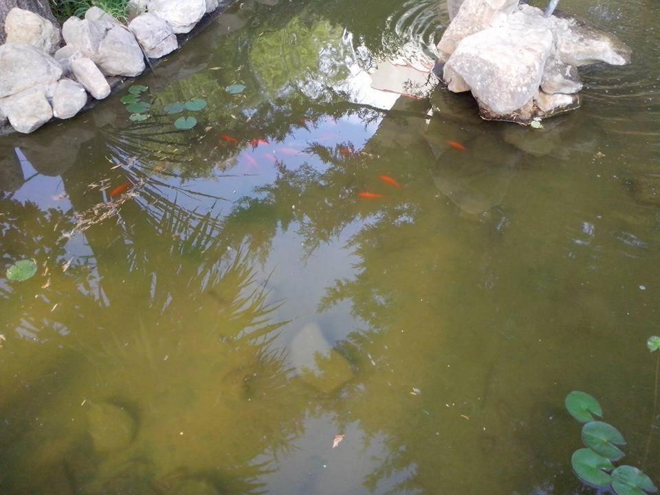 B&B Pian del Lago
