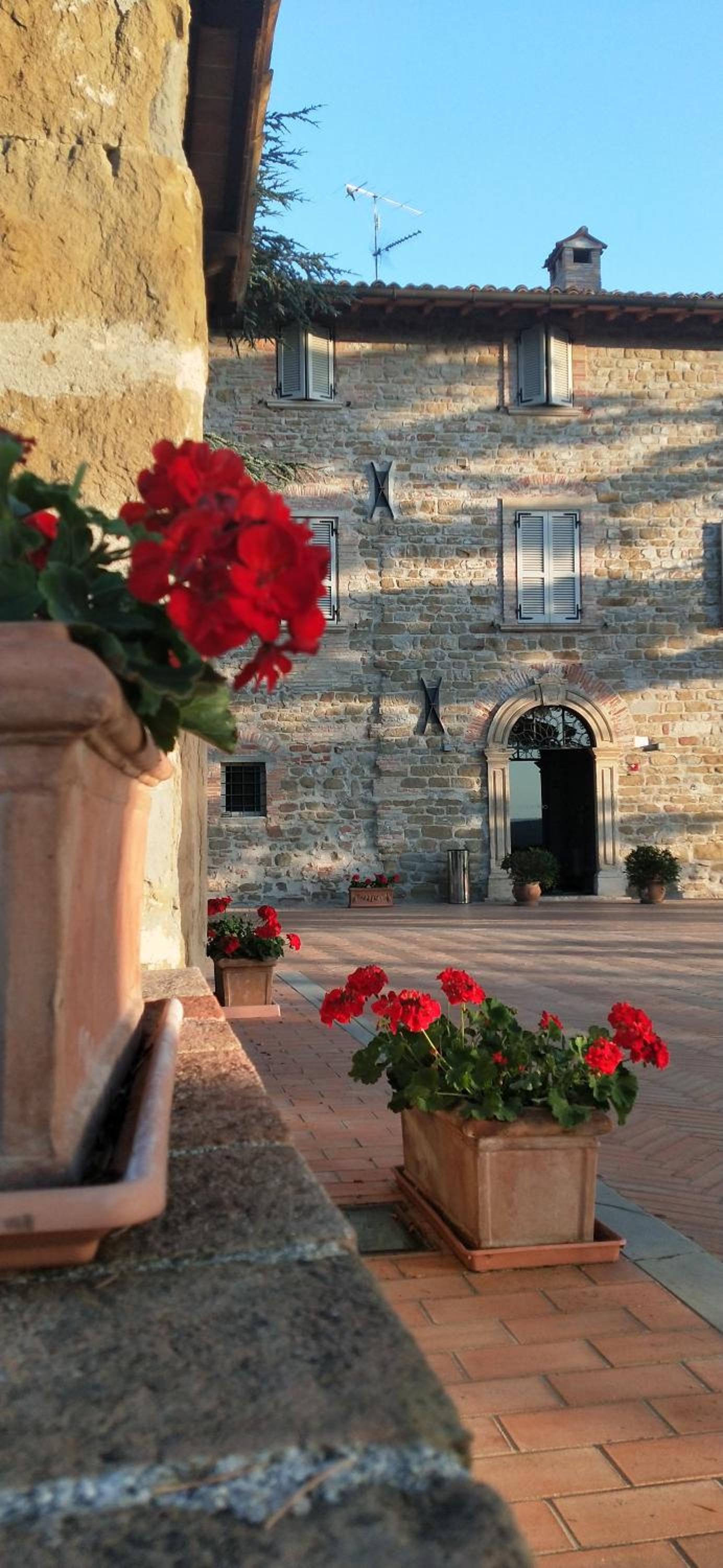 Tenuta Borgo San Michele