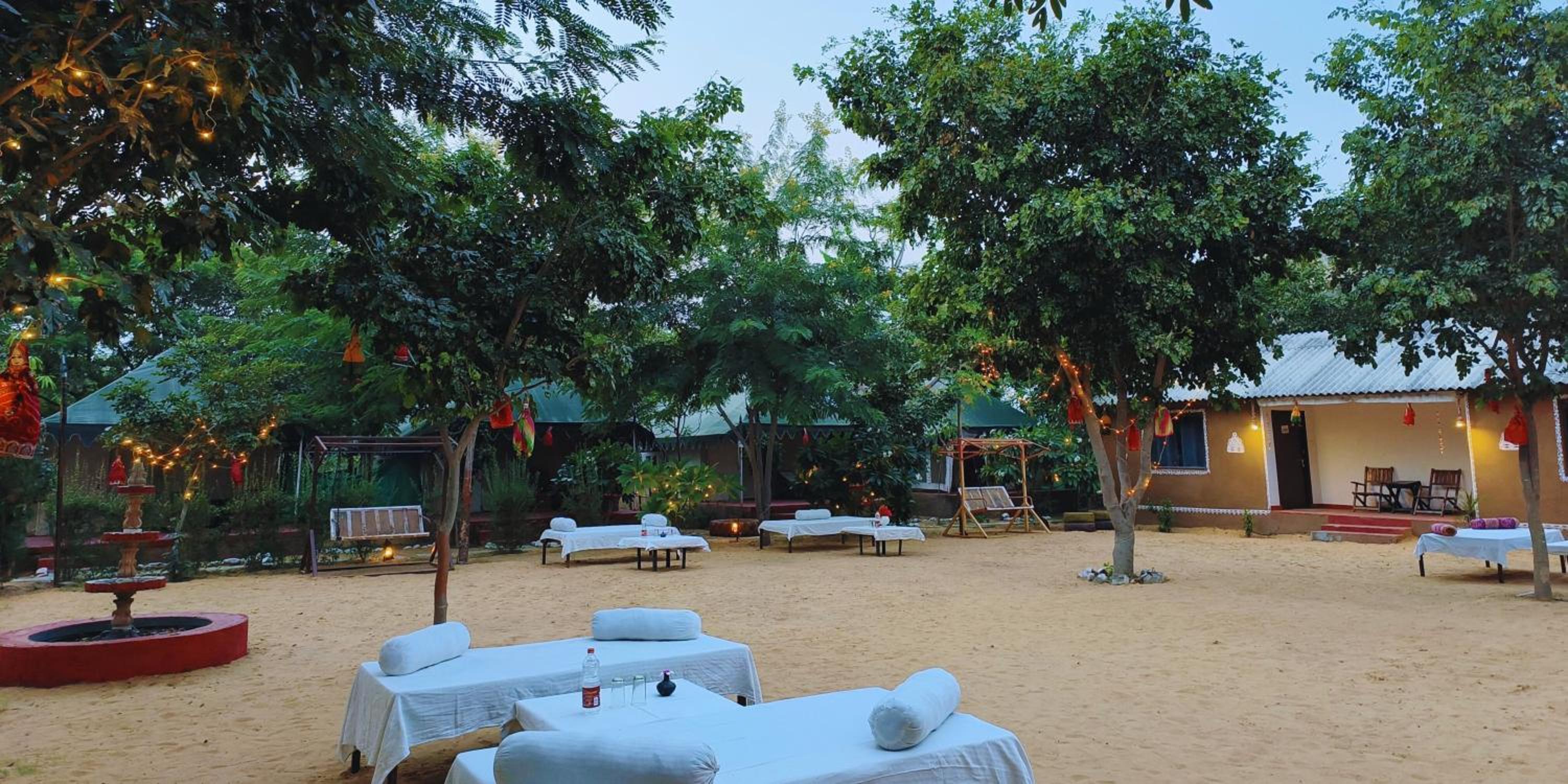 activities & amenities