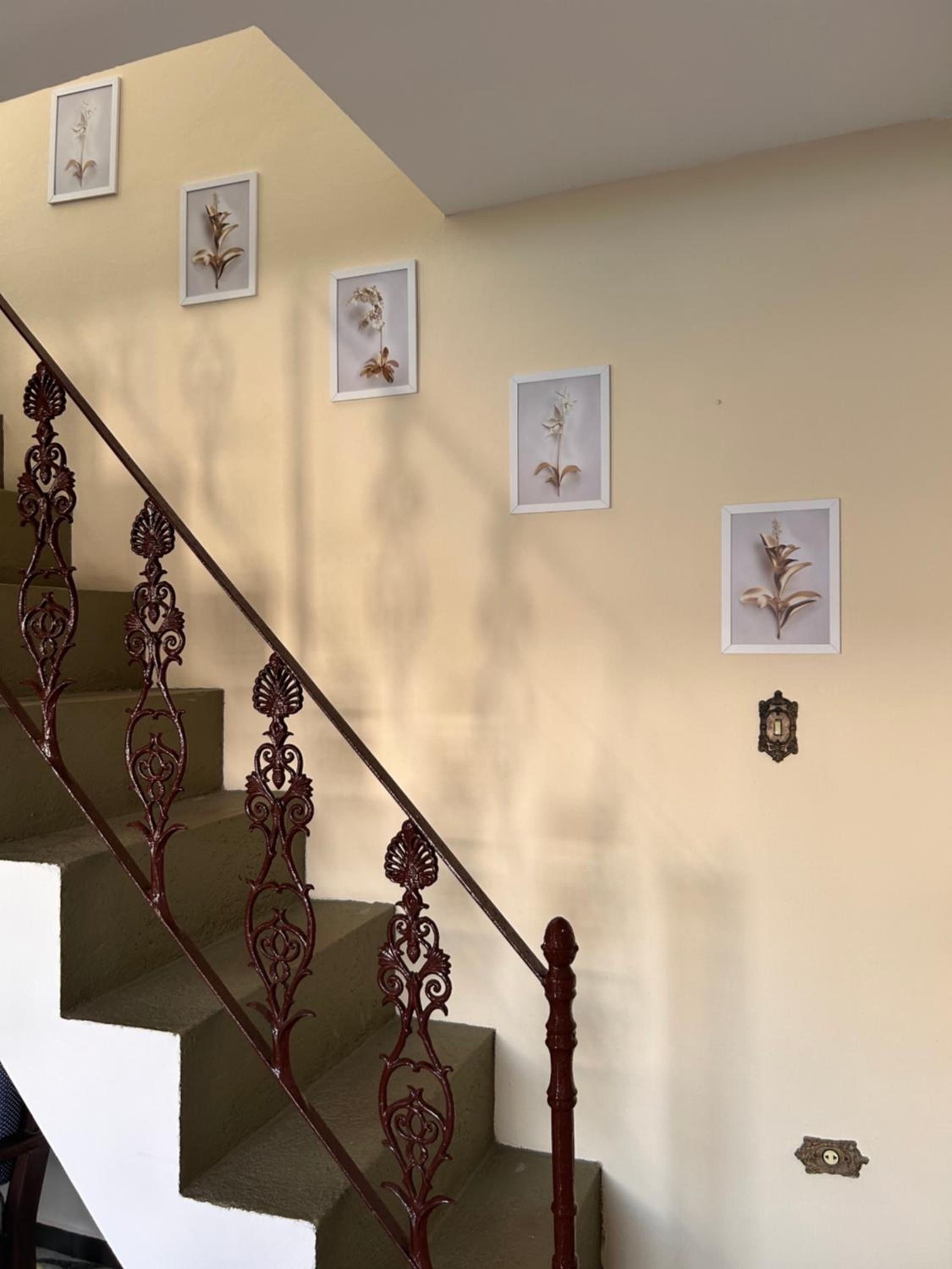 Carnaval a partir 5 diárias - 15 pessoas- Linda Casa de praia com Super piscina 12x5 Novinha com 3 níveis, Wi-Fi, Tv led,jardim , churrasqueira completa