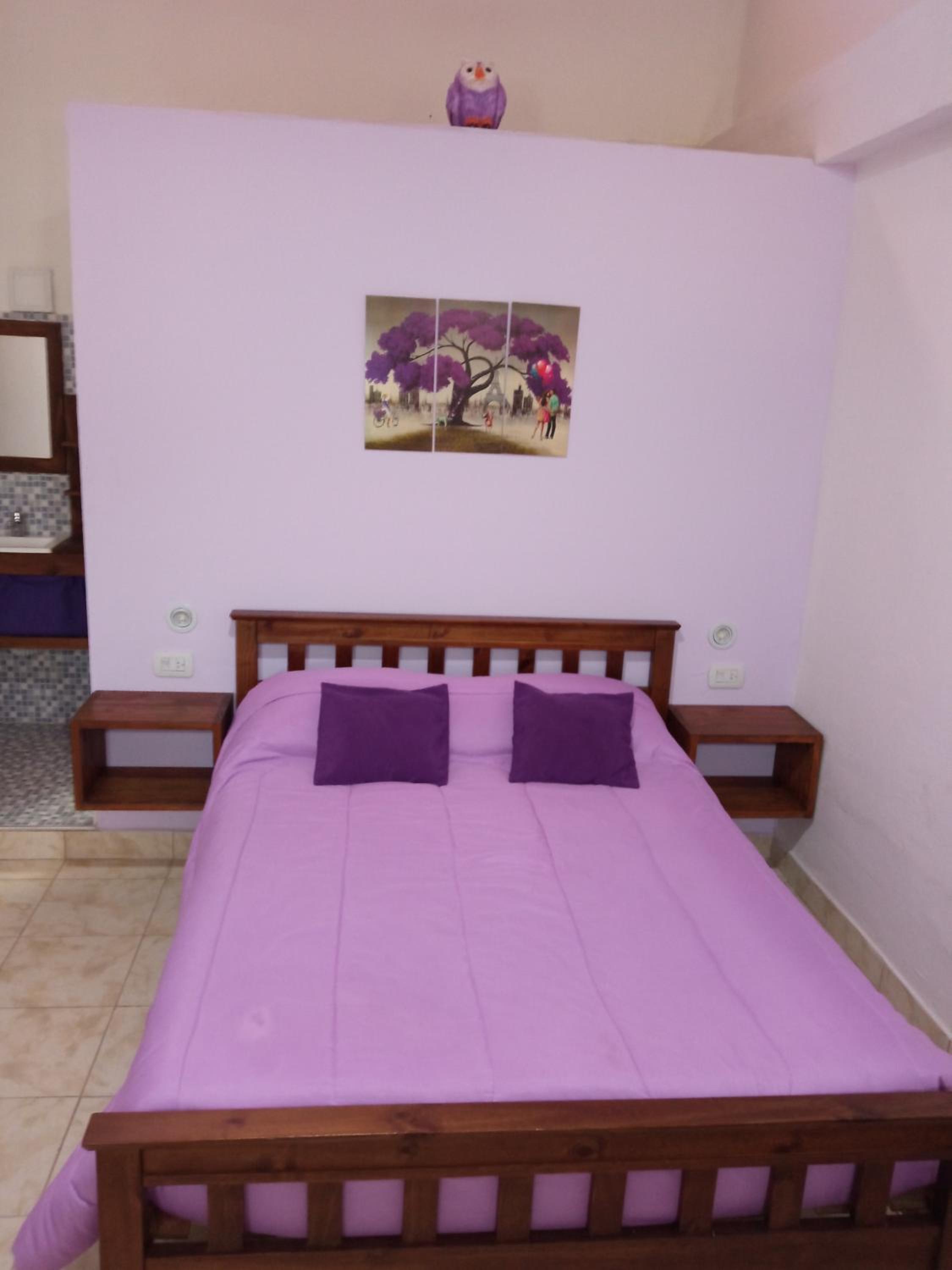Violeta Monoambiente