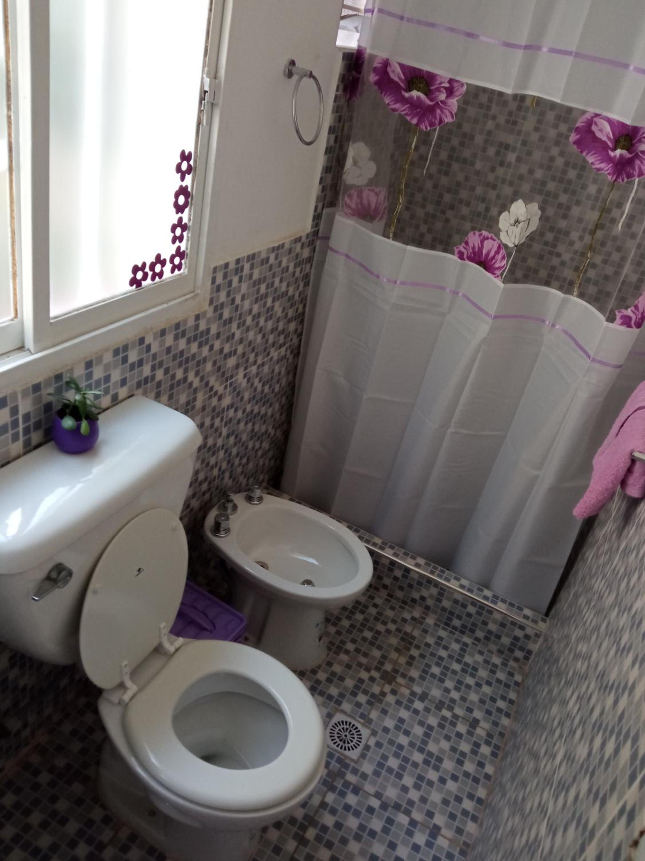 Violeta Monoambiente