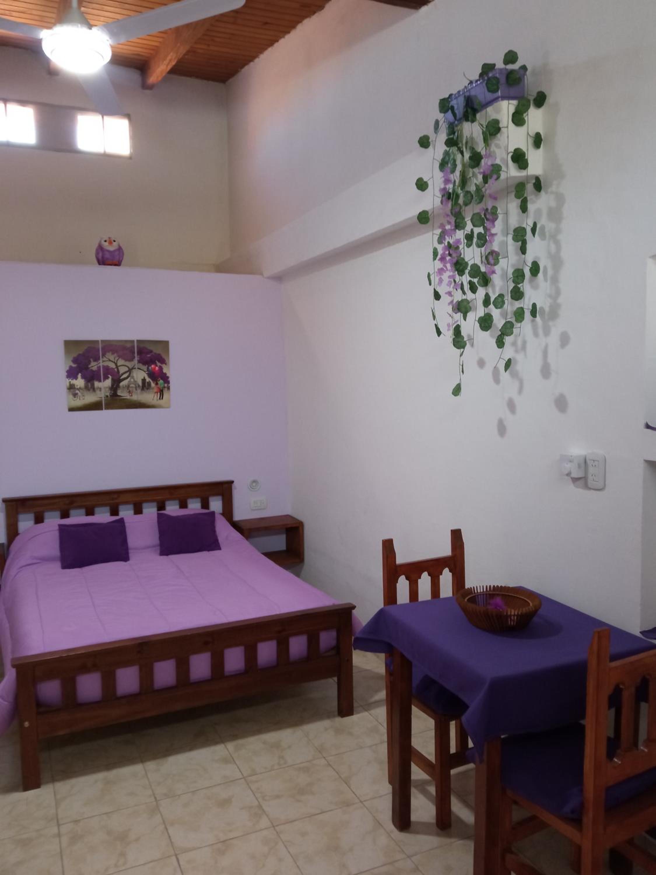Violeta Monoambiente