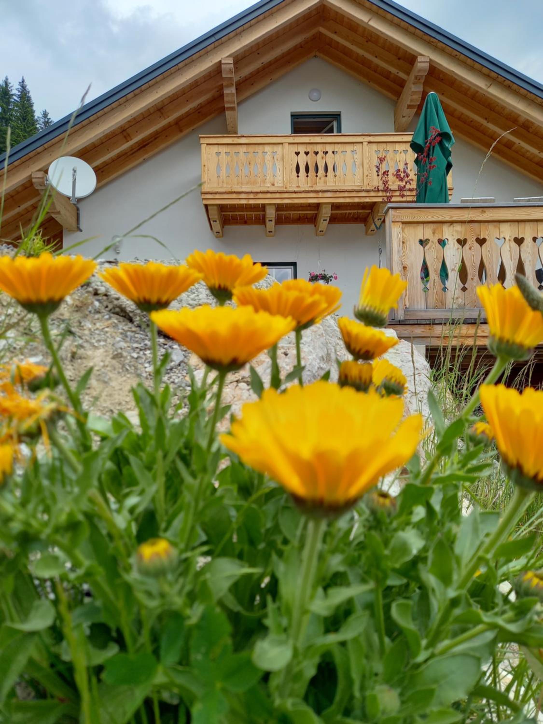 Apartment Schönwetter