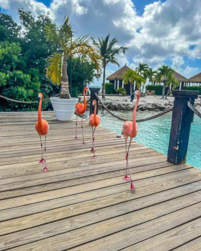 1 Bed Apartment Sleeps 2 - Pool Parking Pets