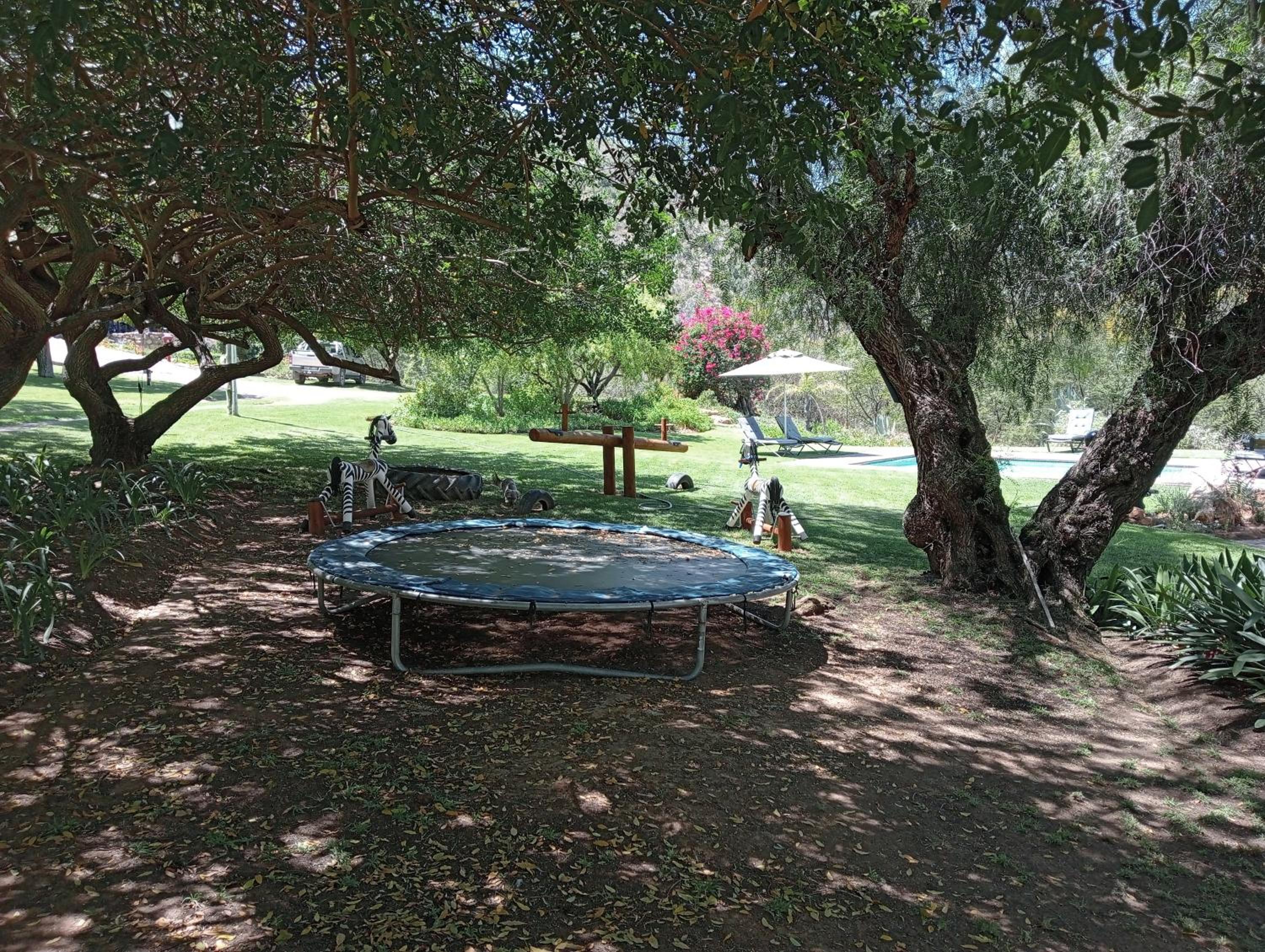 Photo 114