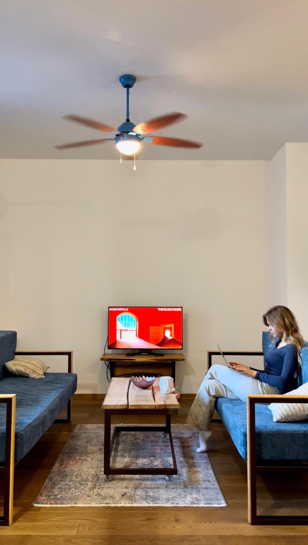 Sava apartment