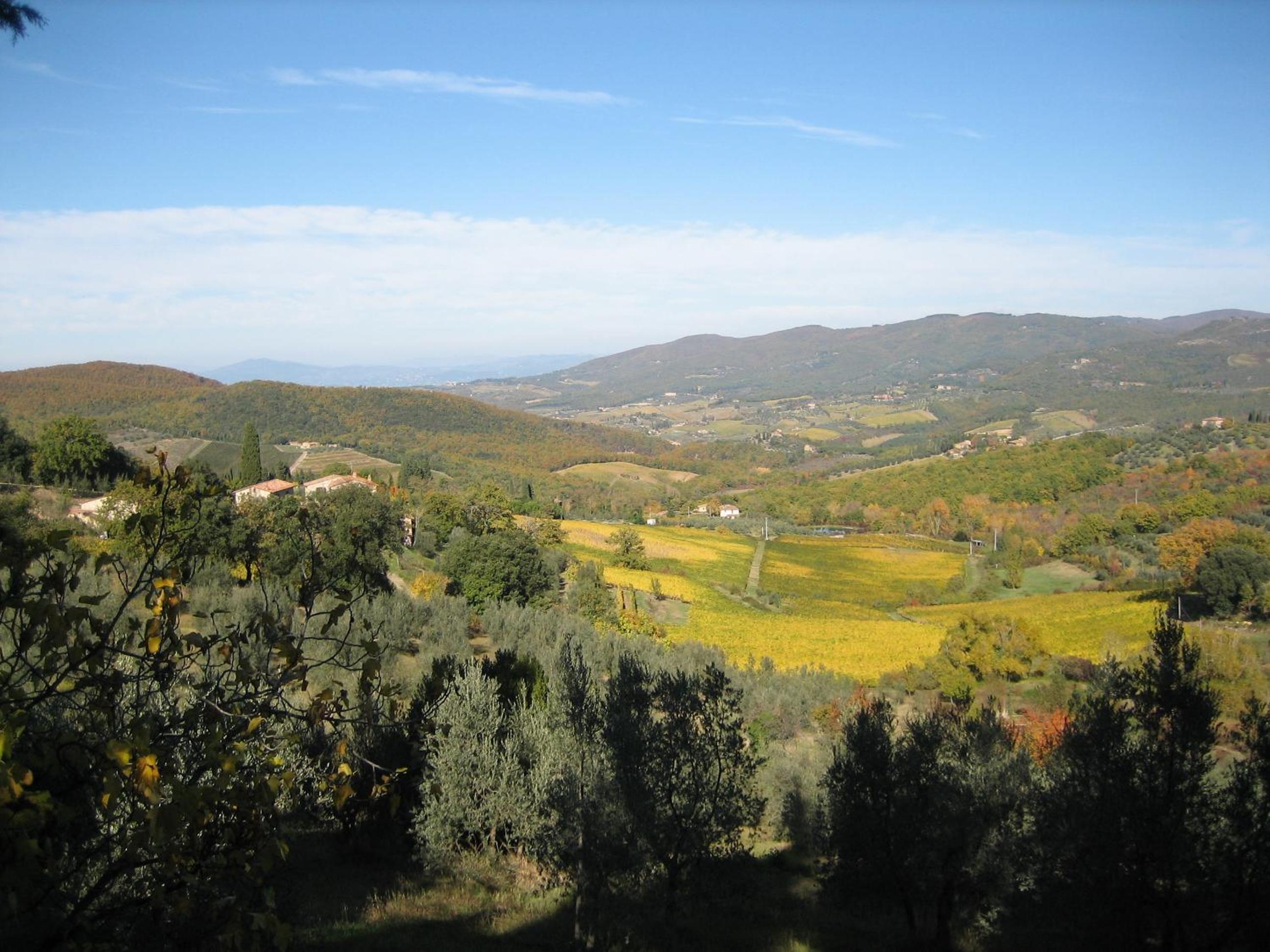 Condominio Pisella