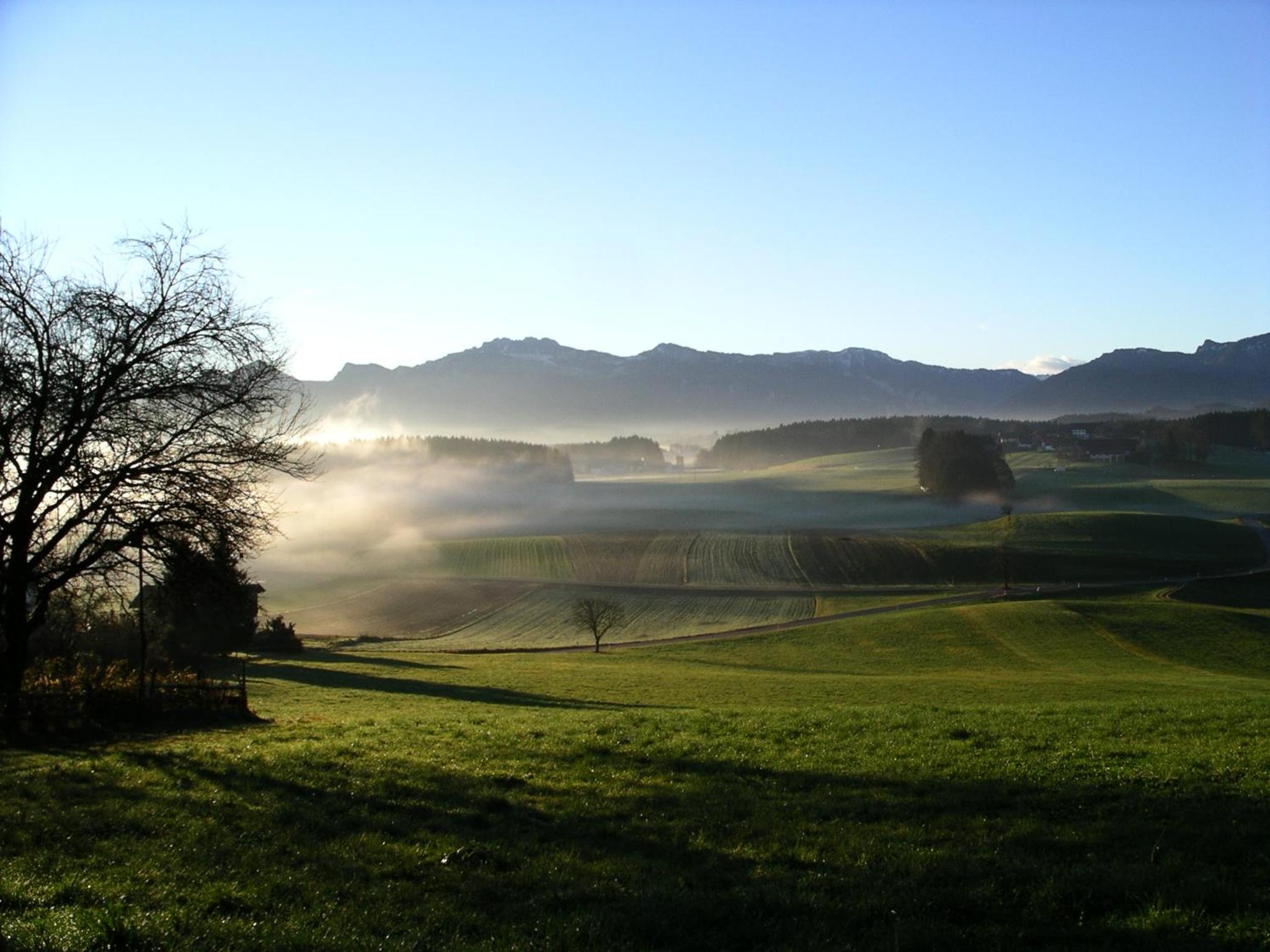 Ferienwohnungen Maderhof